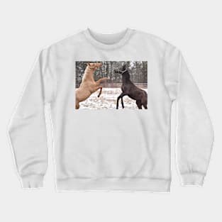 Thoroughbred syncronized rear Crewneck Sweatshirt